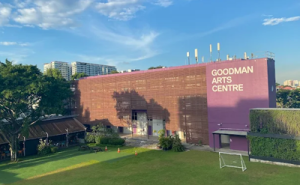 Goodman Arts Centre