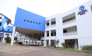 One World International School